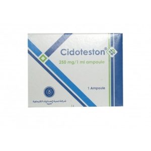 Cidoteston ® ( Testosterone Enantato ) 1 fiala (250mg/ml)