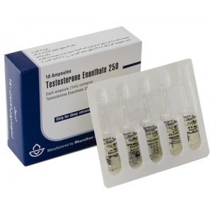 Testosterone Enanthate Irania 1amp ( 250mg/ml )