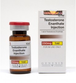 Testosterone Enanthate Injection Genesis 10ml (Testosterone Enanthate 250mg/ml)