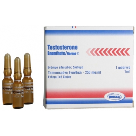 Testostérone Enanthate Norma 1 amp ( 250mg/ml )