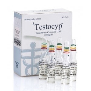 Testocyp 250 Alpha Pharma Cypionate de Testostérone