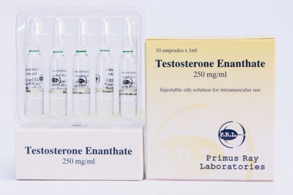 Testosterone Enantato Primus Ray Labs 10X1ML [250mg/ml]
