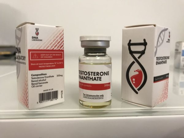 Testostérone Enanthate DNA labs 10ml [300mg/ml]